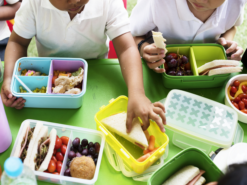 school lunch price
