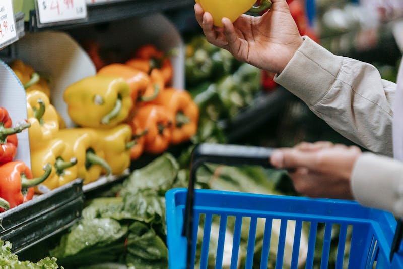 new food stamp rules